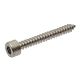 Modèle 212415 - Hexagon socket head self tapping screw - Stainless steel A2