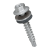 BN 6033 - Building screws self drilling type (JT-8), zinc plated blue