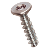 BN 2043 Hexalobular (6 Lobe) socket flat countersunk head screws