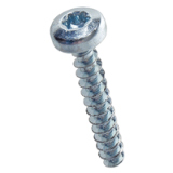 BN 84229 Hexalobular (6 Lobe) socket pan head screws