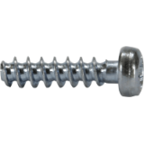 DIN-Power-screw for plastic 2,2x9,5-PZ1