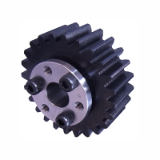 Steel, Hubless Spur Gears with bushing (SSA_F)