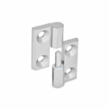 05000909000 - Stainless steel hinge, detachable